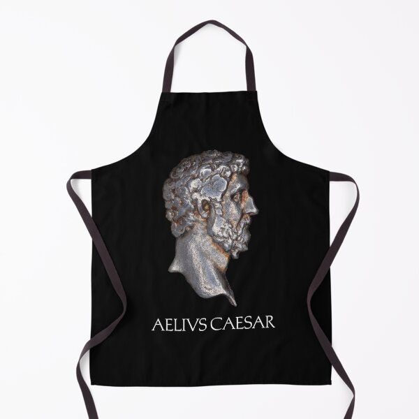 Item preview, Lucius Aelius Caesar Coin Portrait with Name designed and sold by OptimoPrincipi Roman Coins.