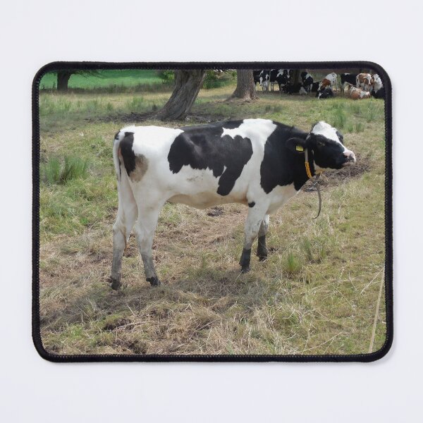 Item preview, Spotted cow designed and sold by animal-animal.