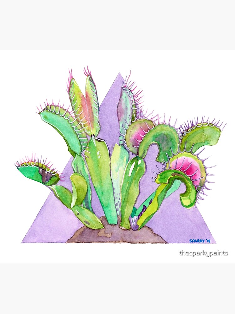 "Venus Fly Trap" Art Print by thesparkypaints Redbubble