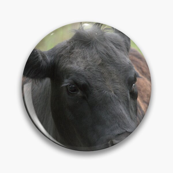 Item preview, how your email finds me cow designed and sold by Dane Dickerson.