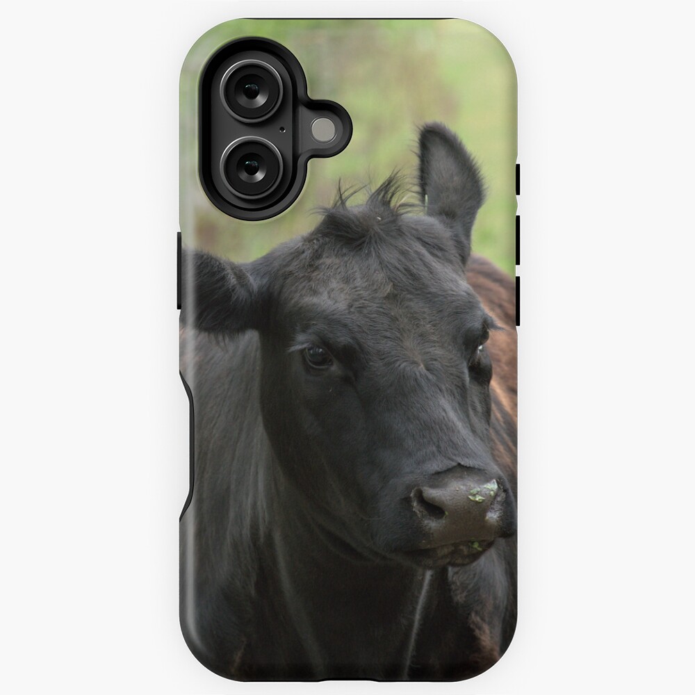 Item preview, iPhone Magsafe Tough Case designed and sold by danecd.