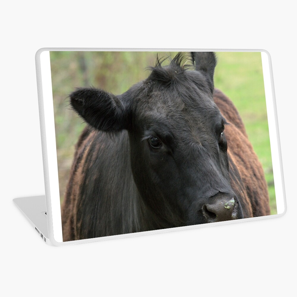 Item preview, Laptop Skin designed and sold by danecd.