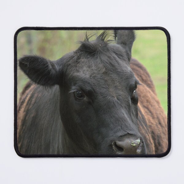 Item preview, how your email finds me cow designed and sold by Dane Dickerson.