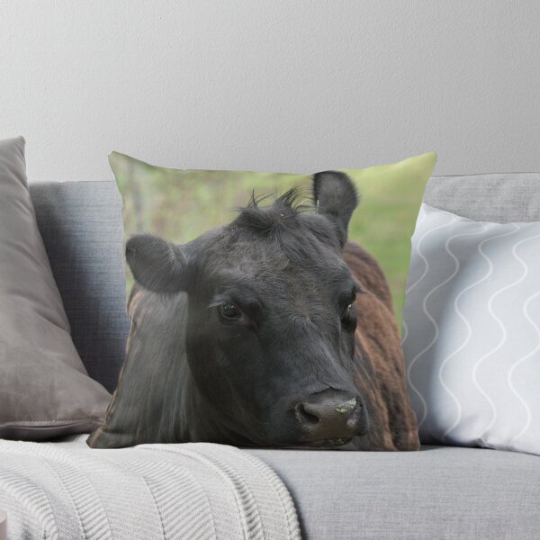 Item preview, how your email finds me cow designed and sold by Dane Dickerson.