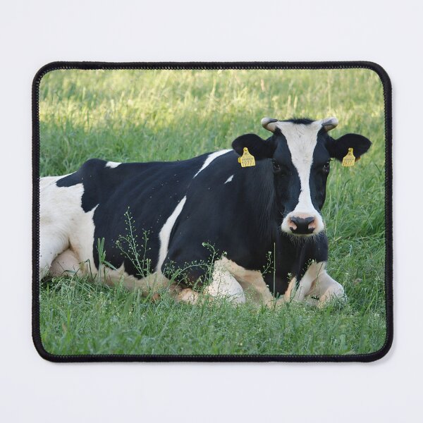 Item preview, Spotted cow designed and sold by animal-animal.