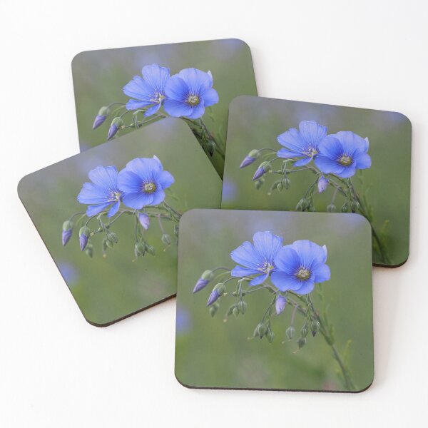 Item preview, The beautiful blue wildflower designed and sold by Juviraga.