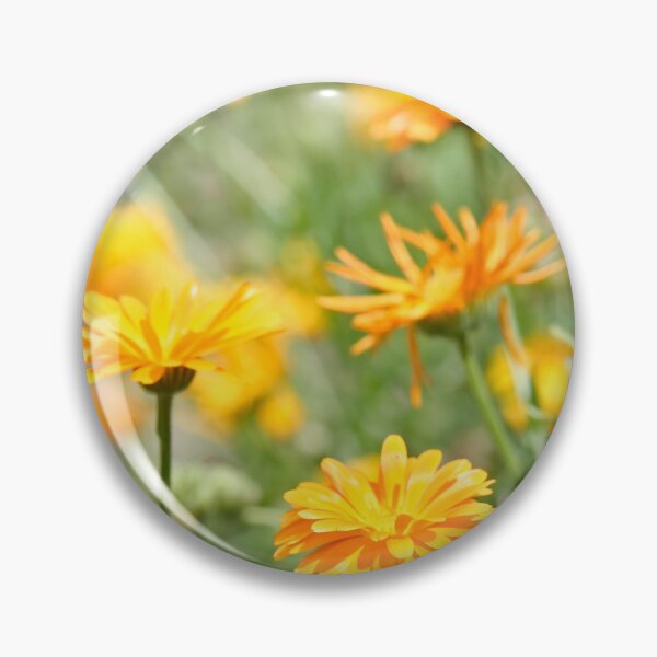 Item preview, Pot Marigold designed and sold by Calidris Fotografie Steffi & Ben Köppler.