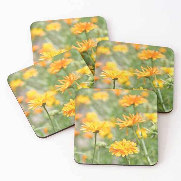 Item preview, Pot Marigold designed and sold by Calidris Fotografie Steffi & Ben Köppler.