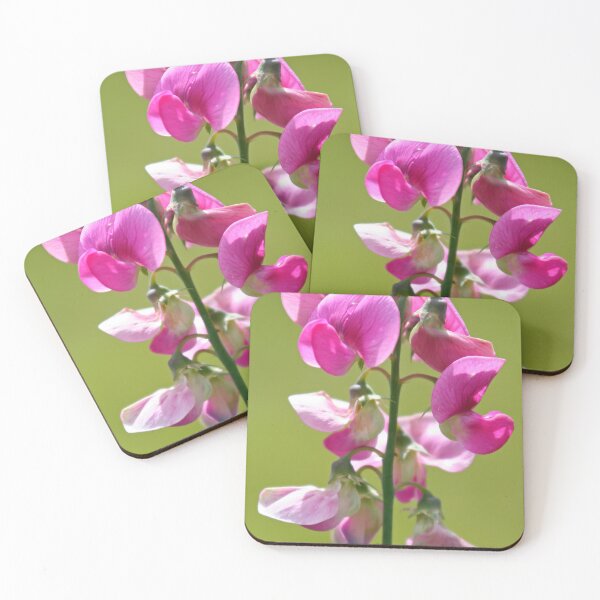 Item preview, Common vetch designed and sold by Calidris Fotografie Steffi & Ben Köppler.