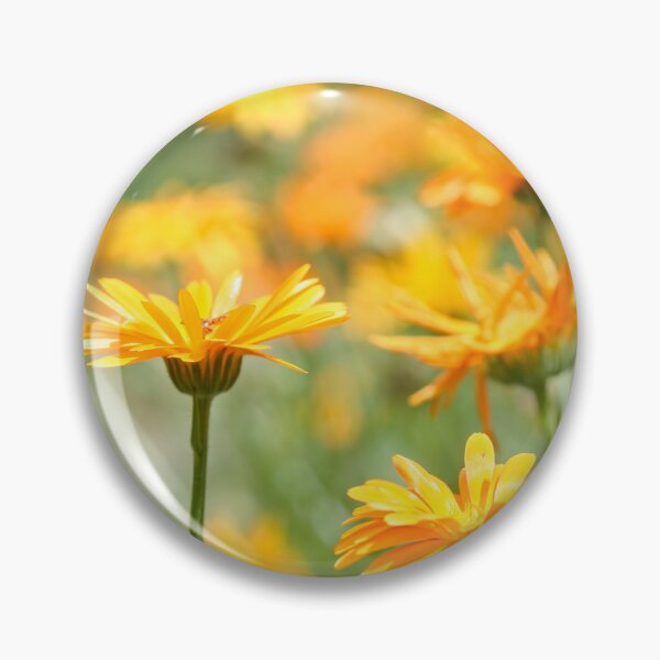 Item preview, Summer - Pot Marigold designed and sold by Calidris Fotografie Steffi & Ben Köppler.