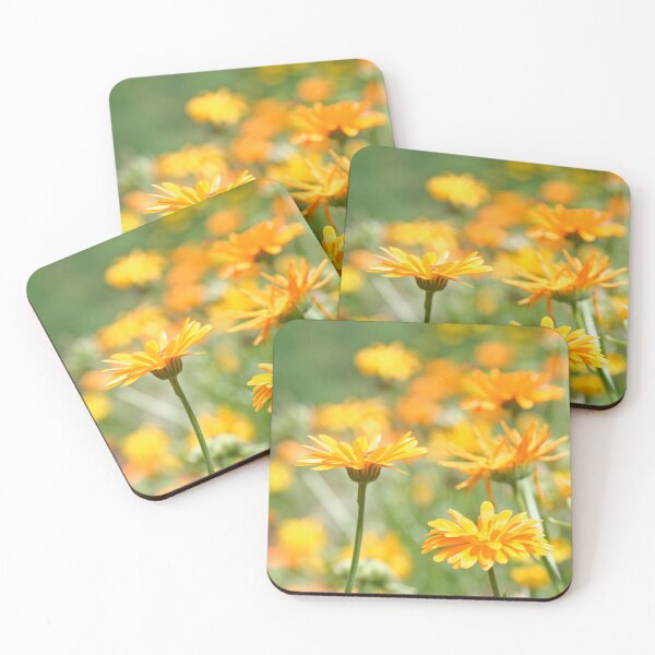 Item preview, Summer - Pot Marigold designed and sold by Calidris Fotografie Steffi & Ben Köppler.