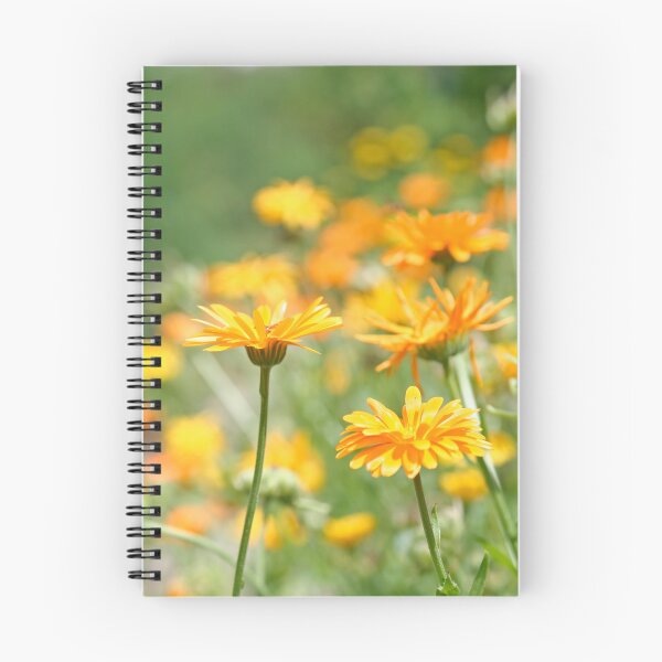 Item preview, Summer - Pot Marigold designed and sold by Calidris Fotografie Steffi & Ben Köppler.