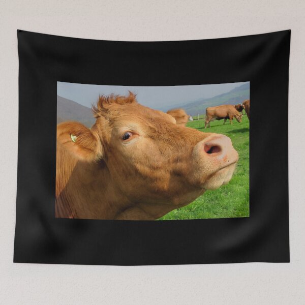 Item preview, Brown cow designed and sold by animal-animal.