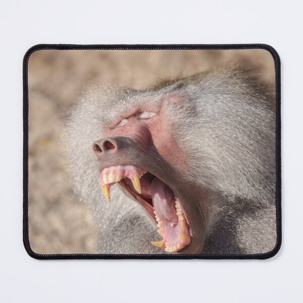 Item preview, Power Unleashed - Male Baboon's Impressive Teeth designed and sold by rawshutterbug.