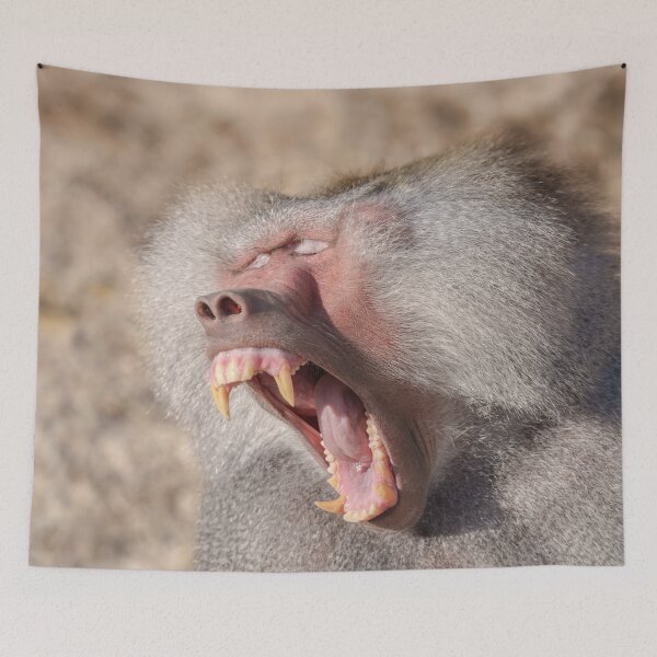 Item preview, Power Unleashed - Male Baboon's Impressive Teeth designed and sold by rawshutterbug.