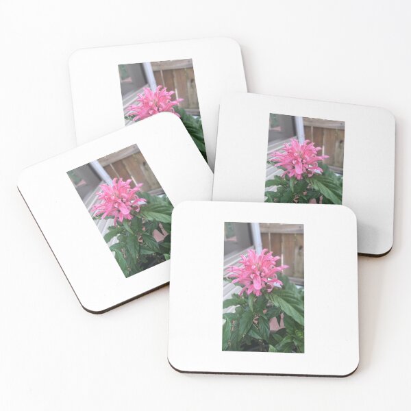 Item preview, pink flower designed and sold by hales3204.