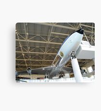 Into the Blue Canvas Print