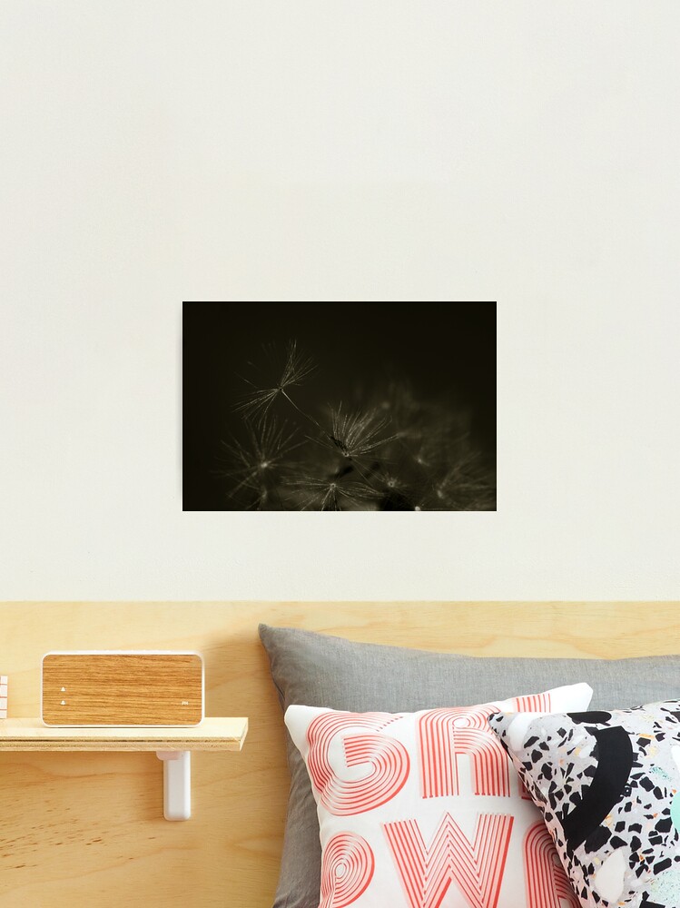 Thumbnail 2 of 3, Photographic Print, Fly with Me designed and sold by idnurse41.