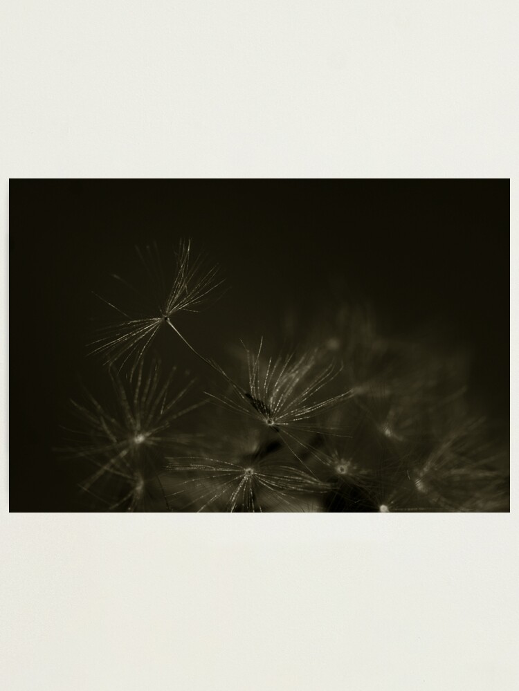 Thumbnail 1 of 3, Photographic Print, Fly with Me designed and sold by idnurse41.