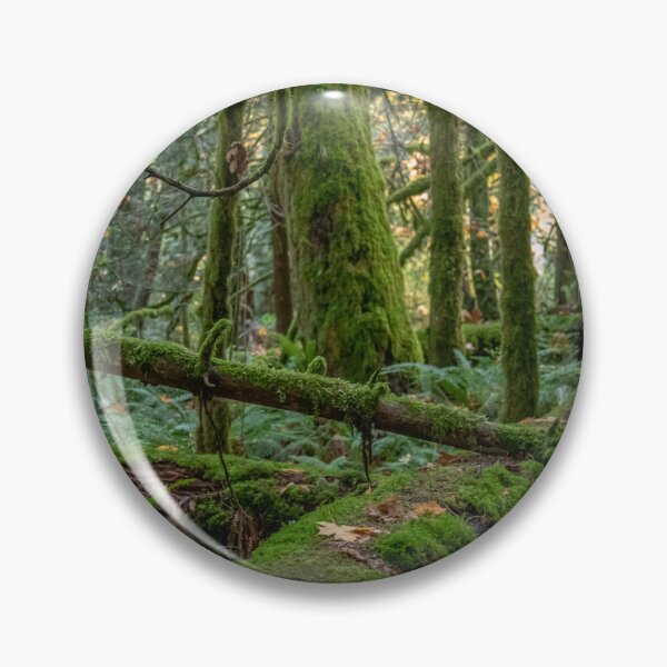 Item preview, Rain Forest of Vancouver Island designed and sold by Ernie Steven Dickey.