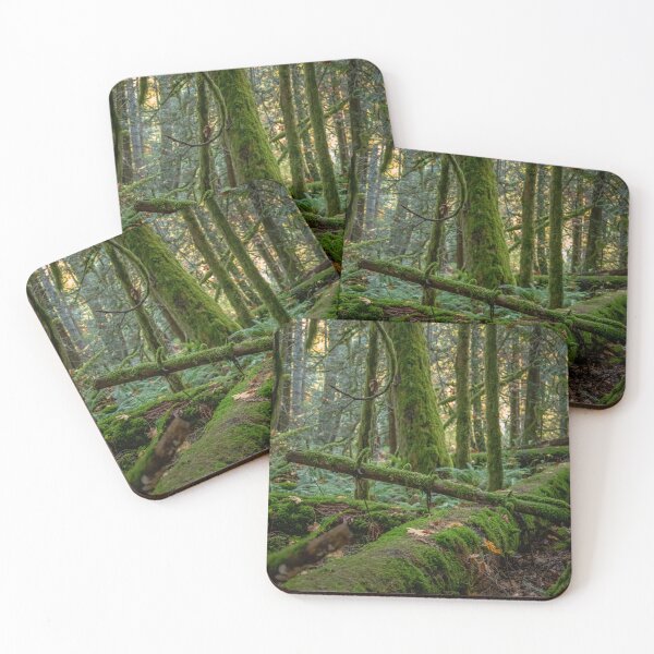 Item preview, Rain Forest of Vancouver Island designed and sold by Ernie Steven Dickey.