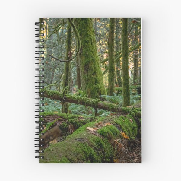 Item preview, Rain Forest of Vancouver Island designed and sold by Ernie Steven Dickey.