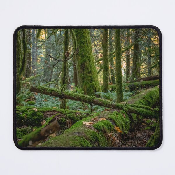 Item preview, Rain Forest of Vancouver Island designed and sold by Ernie Steven Dickey.