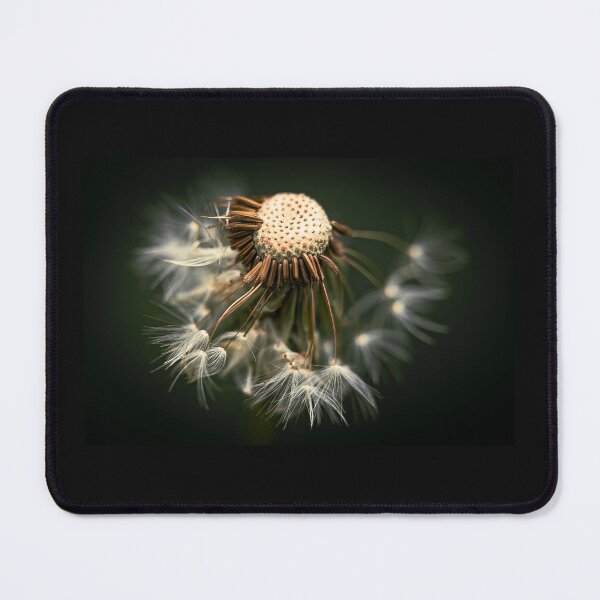 Item preview, Macro Dandelion  designed and sold by Mothboybrown.