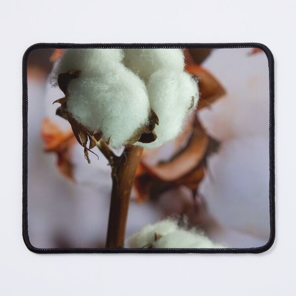 Item preview, cotton flower designed and sold by IgorKovalenko.