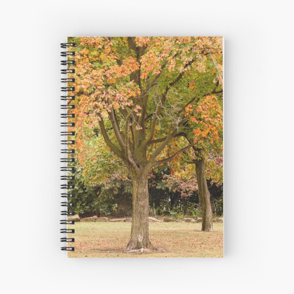 Item preview, Autumn in Point State Park designed and sold by Natalie Caine.