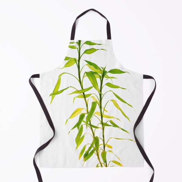 Item preview, green plant stem designed and sold by IgorKovalenko.