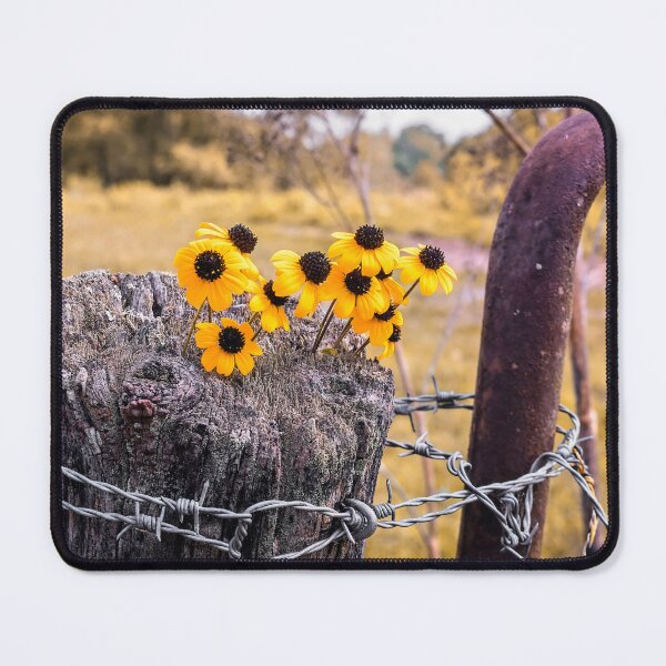 Item preview, Black Eyed Fencepost designed and sold by Jim Love.