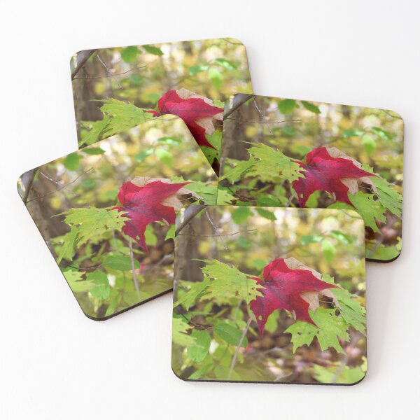 Item preview, Red Leaf  designed and sold by JadeRiverImages.