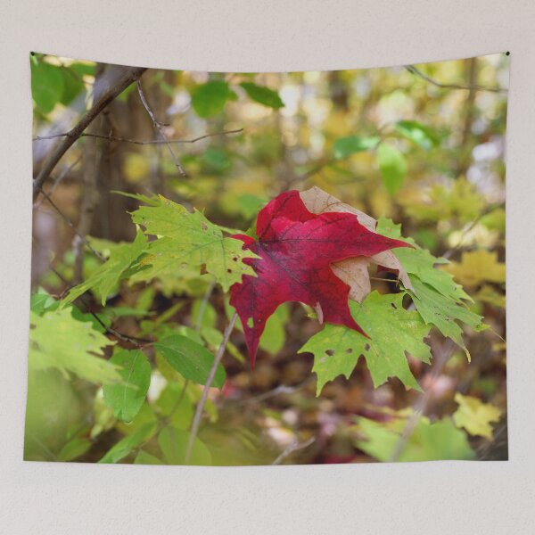 Item preview, Red Leaf  designed and sold by JadeRiverImages.