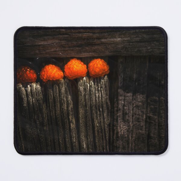 Item preview, Lurking Fruit designed and sold by Jim Love.