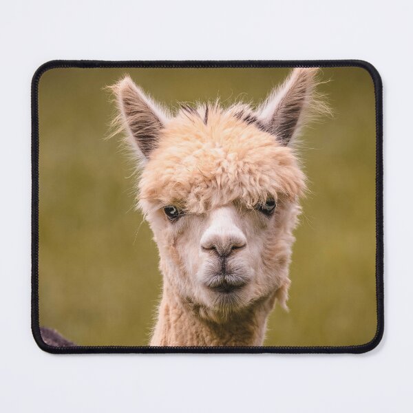 Item preview, Mop Top Eyes designed and sold by Jim Love.