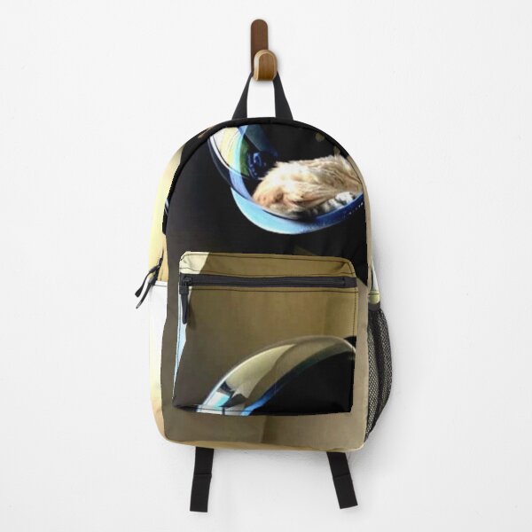 Item preview, Cat Dome designed and sold by ontological.