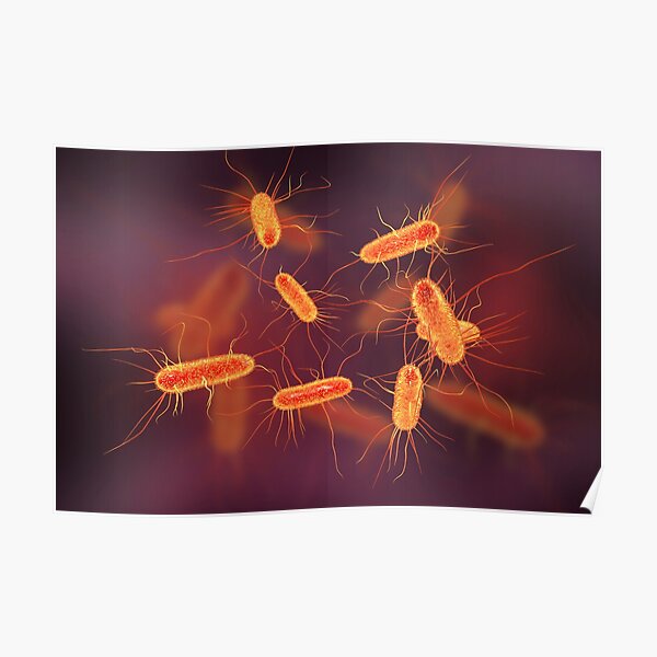 Escherichia Coli Posters | Redbubble
