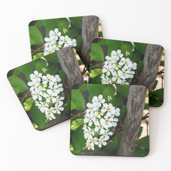 Item preview, Springtime blooms designed and sold by CanadianWild418.