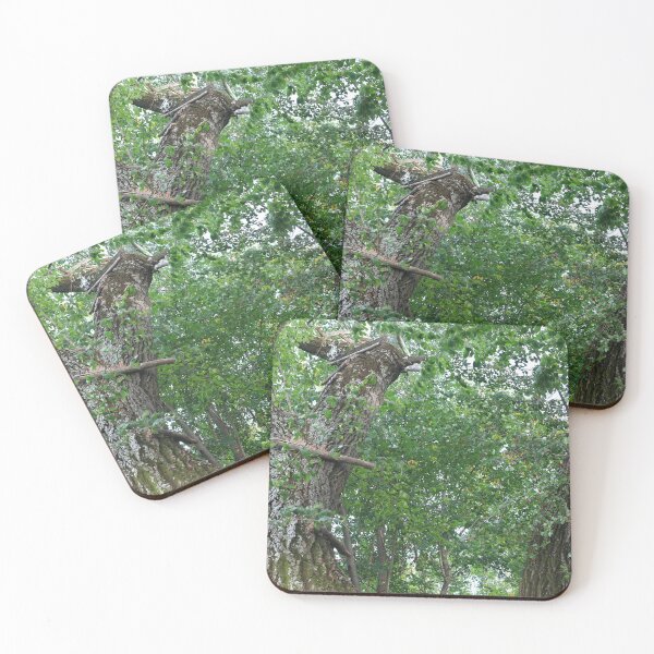 Item preview, Tree trunks designed and sold by zumi.