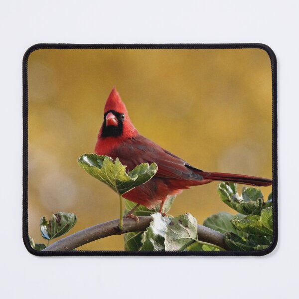 Item preview, Alarmed Northern Red Cardinal designed and sold by Debbie Oppermann.