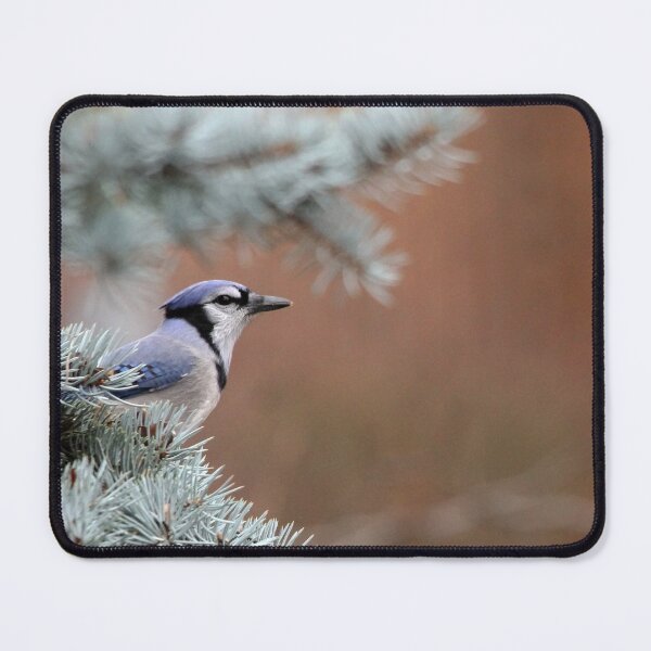 Item preview, Haughty Blue Jay designed and sold by Debbie Oppermann.
