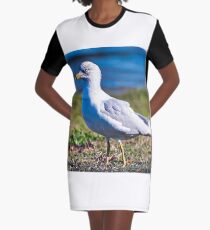 Seagull Portrait Graphic T-Shirt Dress