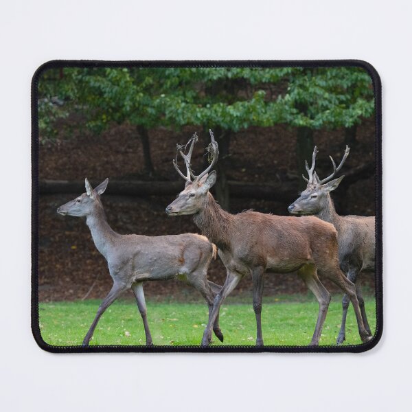 Item preview, deer family designed and sold by ART-SUNRISE.