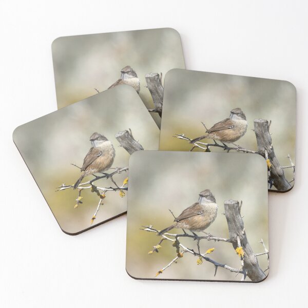 Item preview, A beautiful little Scrub Wren designed and sold by David  Hibberd.