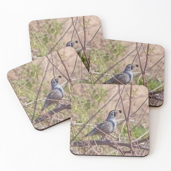 Item preview, California Quail designed and sold by CarolM.