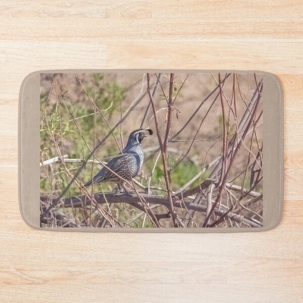 Item preview, California Quail designed and sold by CarolM.