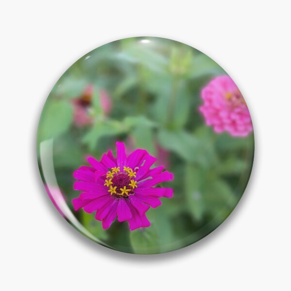 Item preview, 百日草 zinnia, 2023 designed and sold by Ula Shibazaki.