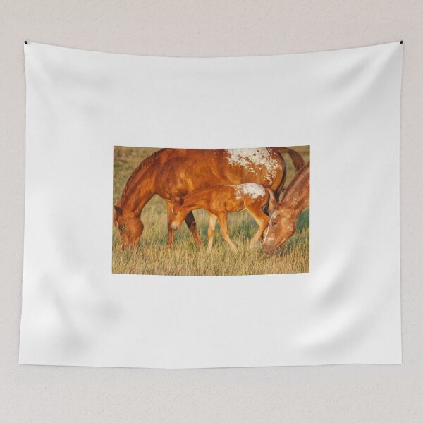 Item preview, Colorful colt and mother designed and sold by colorfulbundles.