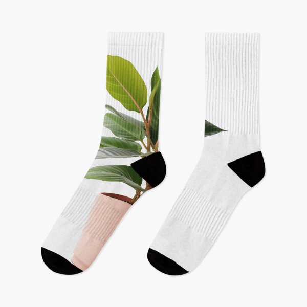 Item preview, plant in  pot designed and sold by Wongvian.